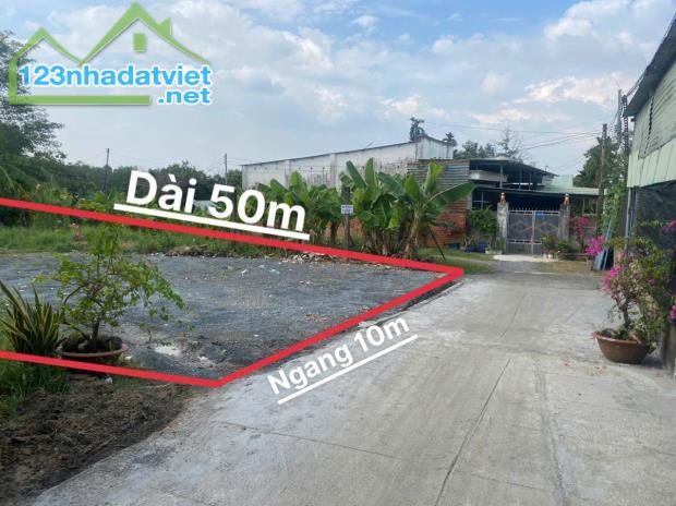 Bán 500m² Giáp Tân Phong, Bình Ý Tân Bình Vĩnh cửu - 1