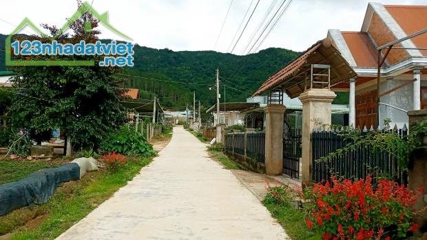 Bán sỉ block 3 nền đất thổ cư view 3 mặt đồi thông. - 3