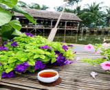 ĐẤT HỘI AN, XÂY VILLA - HOMESTAY CHỈ 15 TRIỆU/M2, NGANG 7M TUYỆT ĐẸP.