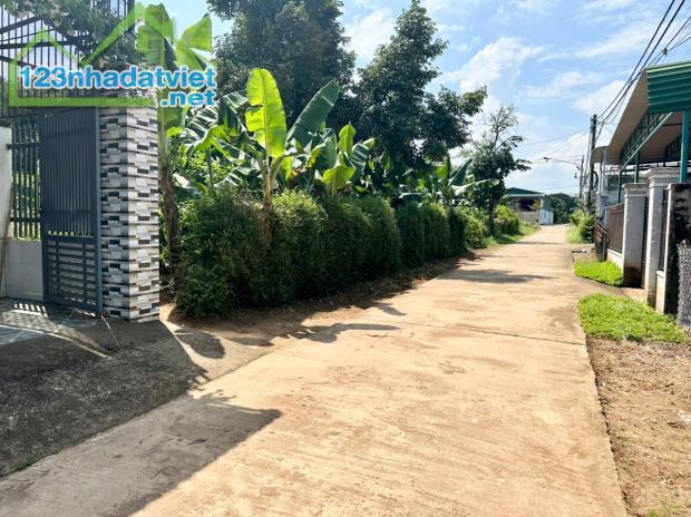 🍎 BÁN LÔ ĐẤT 6x25m cách Y Wang 200m tại CAO THÀNH, XÃ EA KAO Buôn Ma Thuột 🌲 - 2