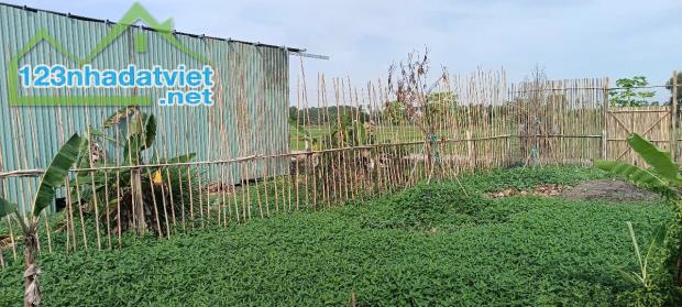 Bình Mỹ đường ô tô thông, 10x12,5m xây ở liền, 550tr - 2