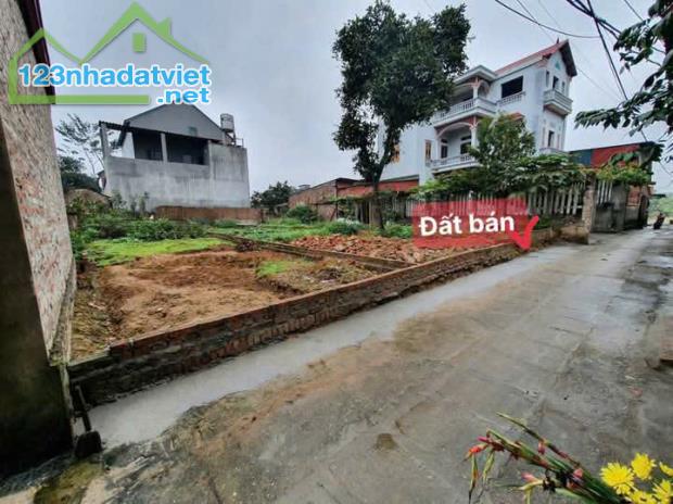 Bán lô đất Thôn Chôi, xã Đông Xuân, Sóc Sơn, Hà Nội.  ➕DT: 100m2, MT 4,5m, giá 20 triệu - 2