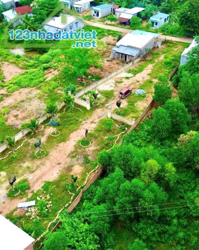 Bán đất vườn Khánh Đông giá rẻ sẵn thổ cư - đã lên mô hình farm cơ bản - 2