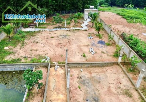 Bán đất vườn Khánh Đông giá rẻ sẵn thổ cư - đã lên mô hình farm cơ bản - 3