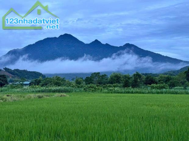 Bán đất Yên Bài, gần Làng Văn Hóa, 367m, 150mTC, view đẹp, oto tránh, chỉ 1.75tỷ - 3