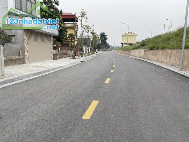 Cần bán 214,7m2 đất mặt đường đê Vàng, Phúc Lợi. Vị trí đẹp làm văn phòng công ty. - 3