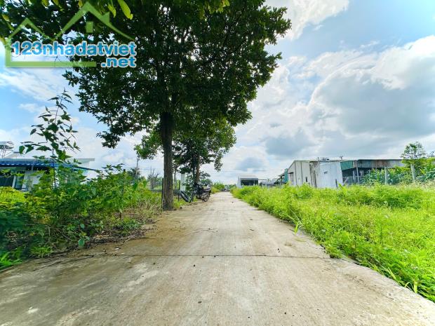2 lô liền kề Thôn 8 xã Cư Ebur - 5 x 22m (Thổ cư 100%) - 690 triệu/ lô - 4