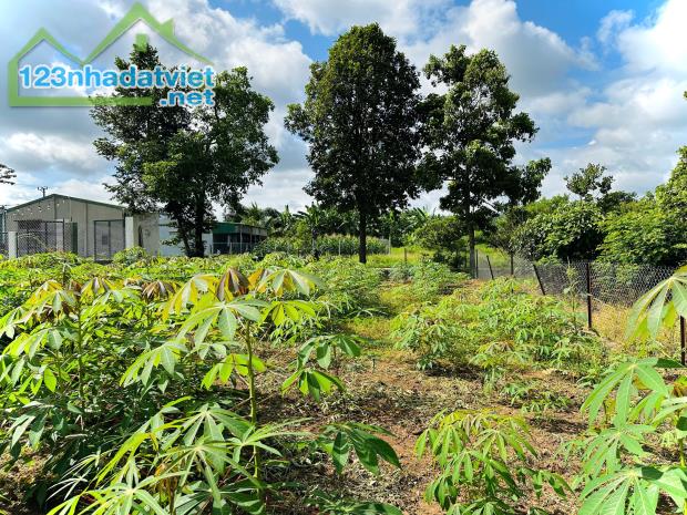 2 lô liền kề Thôn 8 xã Cư Ebur - 5 x 22m (Thổ cư 100%) - 690 triệu/ lô - 3