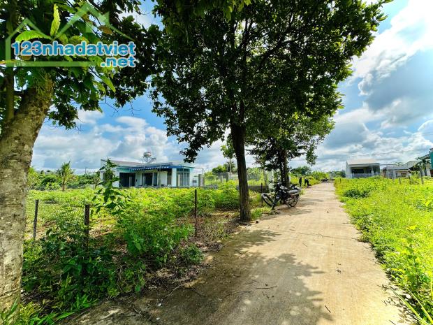 2 lô liền kề Thôn 8 xã Cư Ebur - 5 x 22m (Thổ cư 100%) - 690 triệu/ lô - 1