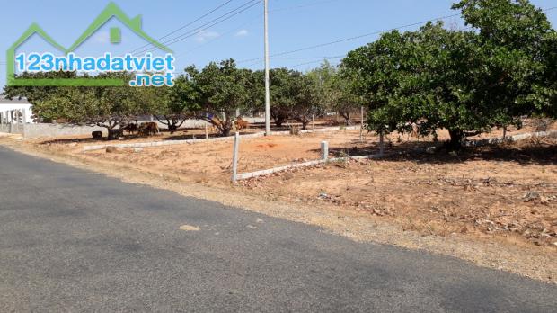Đất Ngộp mặt tiền DT715-Mũi Né(Thiện Nghiệp-Phan Thiết)-Lâm Đồng-1,46Ha+1,26Ha - 2