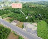 Đất sào ngay nút giao Đường Hồ Chí Minh và Tỉnh Lộ 2 - BMT