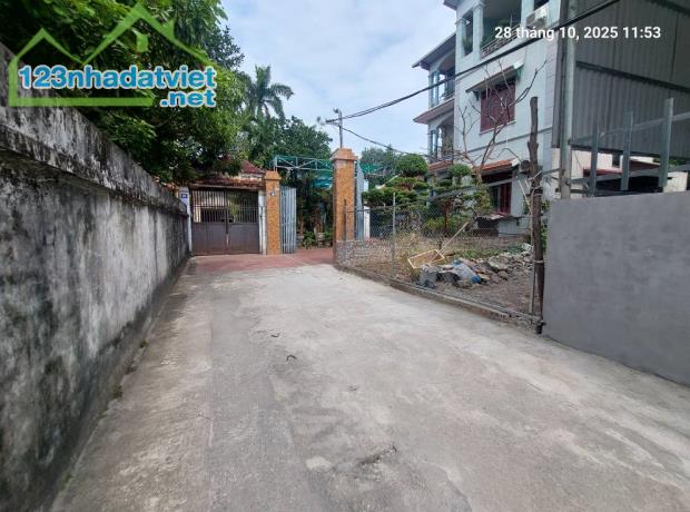 Bán đất Nam Hồng, 100m2, mt5.2m, 5.97 tỷ, xe 7 chỗ, Đông Anh. - 1