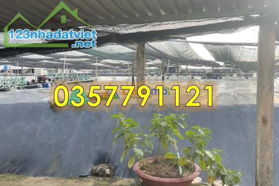 ⭐Chính chủ bán gấp 8 ao nuôi tôm tại (Vĩnh Trạch Đông, TP.Bạc Liêu cũ), P.Hiệp Thành - 1