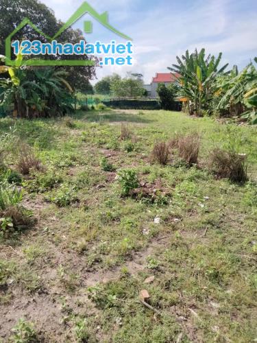 2000m² thổ cư, Hắc Dịch ,Phú Mỹ Vũng Tàu, chỉ 4.7 tỷ – mua ngay kẻo tiếc cả đời!” - 2