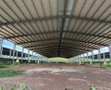 Bán kho, nhà xưởng tại DH507, An Thái, Phú Giáo, 65 tỷ, 31000 m2