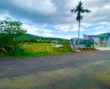 ✅Bán lô đất hẻm Tô Hiến Thành Lộc Châu, phường 3 Bảo Lộc. ĐẸP KHU DÂN CƯ