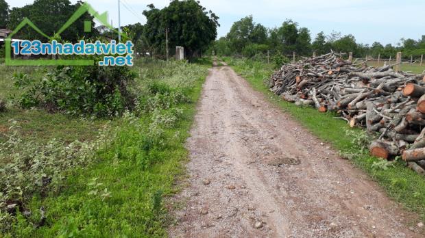 Đất quá Ngộp-Thiện Sơn-Mũi Né-Lâm Đồng-DT 19.500m2,gần UBND Xã Thiện Nghiệp - 1