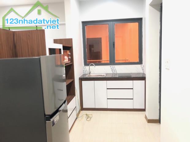 Cho thuê căn hộ studio giá chỉ từ 5tr tại KĐT Waterfront - 4