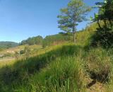 Đất Đẹp Diện Tích Rộng Tại Xã Hiệp An – Đức Trọng | Vị Trí Tiềm Năng Gần Đà Lạt