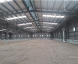 BD1. Cho Thuê Kho Xưởng Mới Đẹp KCN Vsip 2, KCN Kim Huy, KCN Đại Đăng, Thủ Dầu Một Bình