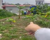 Bán đất 115m2 Vĩnh Khê An Dương Hải Phòng