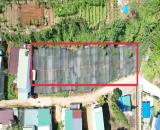 🆘Bán đất Quốc Lộ 20, Lộc Châu Phường 3 Bảo Lộc. THỔ CƯ 550m2