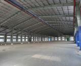 Nhà xưởng mới xây dựng 5600m2,11000m2, 22000m2 cần cho thuê trong KCN Gia Bình Bắc Ninh, P