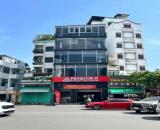 Nhà mặt tiền thương hiệu Nguyễn Văn Cừ, Q1: 8mx18m,5 tầng, HĐT 250 triệu/th, giá 58 tỷ