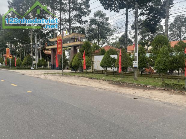 SỈ LẠI 46 NỀN ĐẤT THỔ CƯ-SHR  MẶT TIỀN DH 519 (32M) XÃ PHƯỚC THÀNH-TPHCM GIÁ 500 TR/NỀN - 5