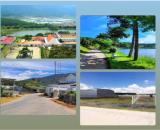 BÁN NHANH LÔ ĐẤY ĐẸP TRUNG TÂM D”RAN- LÂM ĐÔNG- Giá tốt