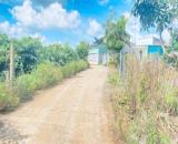 Bán 675m2 đất hẻm thuộc phú bình phú hội cũ, đức trọng Lâm Đồng