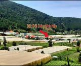 🔥 ĐẤT VEN ĐÀ LẠT – GIÁ CHỈ TỪ HƠN 1 TỶ/NỀN 🔥