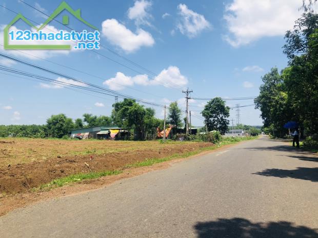 ĐỊNH CƯ SANG ÚC CẦN SANG LẠI 3250M2 ĐẤT THỔ CƯ SHR MẶT TIỀN ĐƯỜNG DH 519 GIÁ 9 TỶ