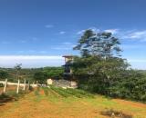 900M2 ĐẤT TẢN ĐÀ, PHƯỜNG 1, BẢO LỘC KẾ BÊN HOMESTAY - VIEW DỰ ÁN SUN VALLEY