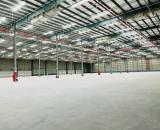CHO THUÊ NHÀ XƯỞNG 26.000m² TRONG CỤM CÔNG NGHIỆP TẠI CẨM GIÀNG HẢI DƯƠNG