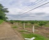 Bán đất Thọ Hòa, xã Xuân Thọ, Xuân Lộc: 10ha, giá 62 tỷ.