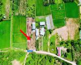 Bán đất Diên Thọ giá rẻ full thổ cư gần Tỉnh Lộ 2 - phù hợp đầu tư xây nhà vườn
