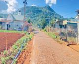 1 sào hẻm ql20, hiệp an cũ, đức trọng, lâm đồng