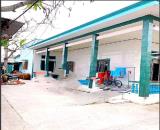 Bán phòng trọ, đường Dương Đình Cúc, 626m2, đất full thổ giá rẻ, thu nhập tốt, giảm 1 tỷ