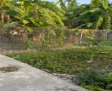 Bán lô đất 51,8m2 Quỳnh Hoàng An Dương Hải Phòng