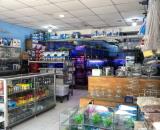 Mặt tiền Đặng Văn Bi – Dt 109m² – Dòng tiền 50tr/th – Bình Thọ, Thủ Đức