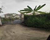 Bán đất Bình Chánh, đường Kênh T6, 1954 m2, hẻm 5m, full thổ chỉ nhỉnh 14 triệu /m2