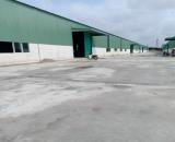 BR. Khu Công Nghiệp Đất Đỏ Gần Cảng Cái Mép Cho Thuê Nhà Xưởng Sản Xuất Khuôn Viên Độc Lập