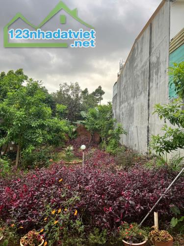 🌈Bán #Đất 5x19m hẻm Đinh Công Tráng, Buôn Ma Thuột #2tỷ350triệu - 1