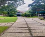 HÓC MÔN, BÁN ĐẤT MẶT TIỀN ĐÔNG THẠNH 8.1 DT 28.8x58m THỔ CƯ