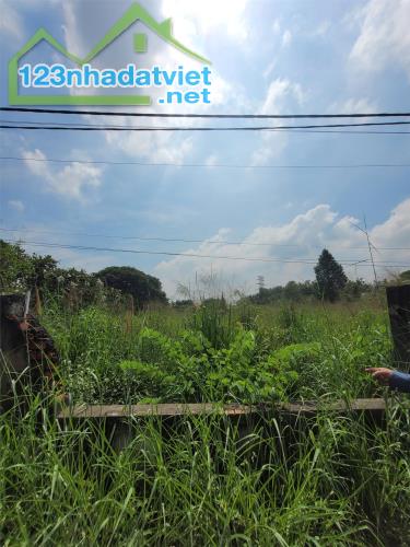ĐẤT ĐẸP- CHÍNH CHỦ Cần Bán Nhanh Đất vị trí đẹp Tại huyện Củ Chi, TPHCM - 1