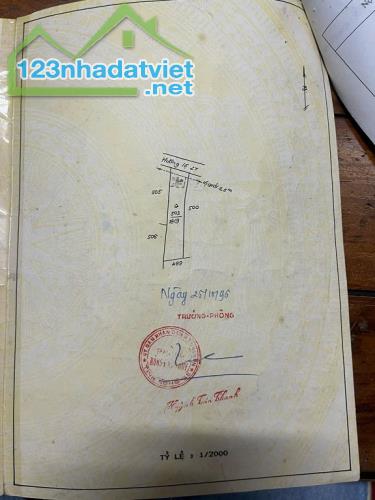 Bán đất mặt tiền đường Trần Hưng Đạo – Hoàng Hoa Thám, phường Đông Hòa, Dĩ An – Bình - 3