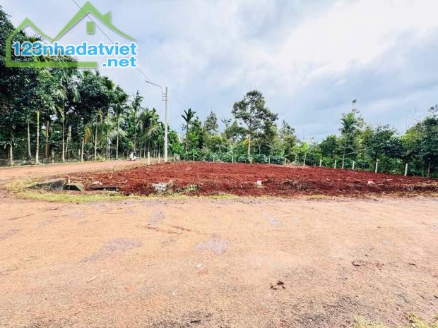đất 6x20 hẻm đường Nhựa Nguyễn Xuân Nguyên khu ô bàn cờ đẹp đẽ