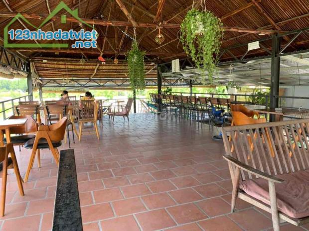 bán quán cafe đang kinh doanh góc 2 mặt tiền đường nhựa lớn cát tường phú sinh tỉnh lộ 9