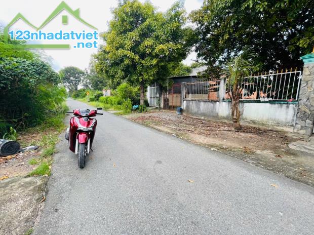 Bán Đất Mặt Tiền Đường 489 Xã Phạm Văn Cội, Diện Tích 365m2, Sổ Hồng Riêng - 1